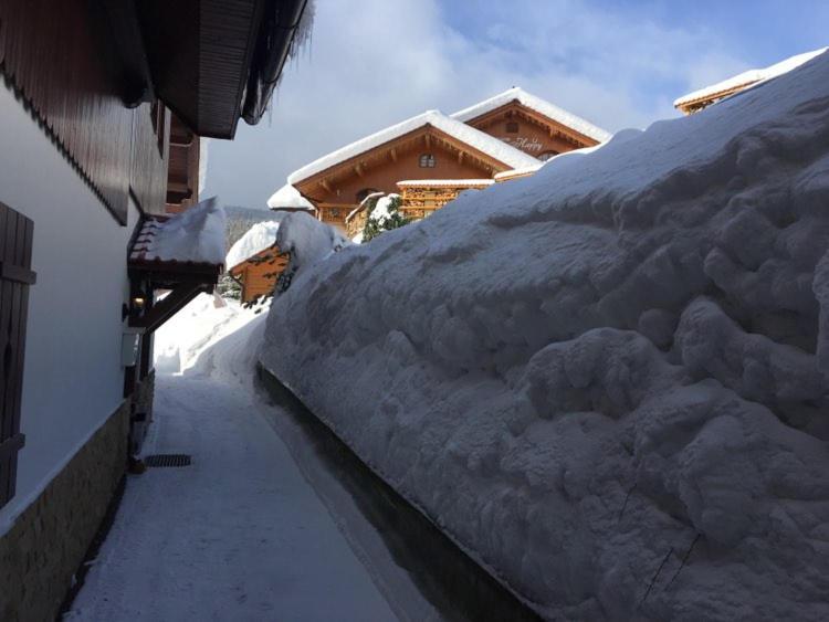 Pension Monte Rosa Špindlerŭv Mlýn Exterior foto
